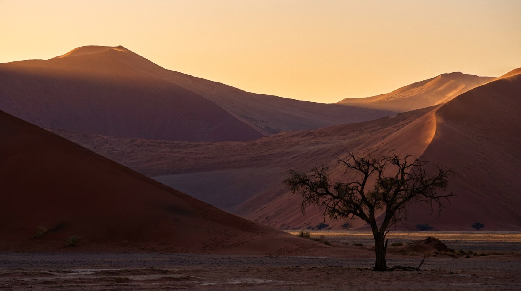 Namibia desert landscape at golden hour